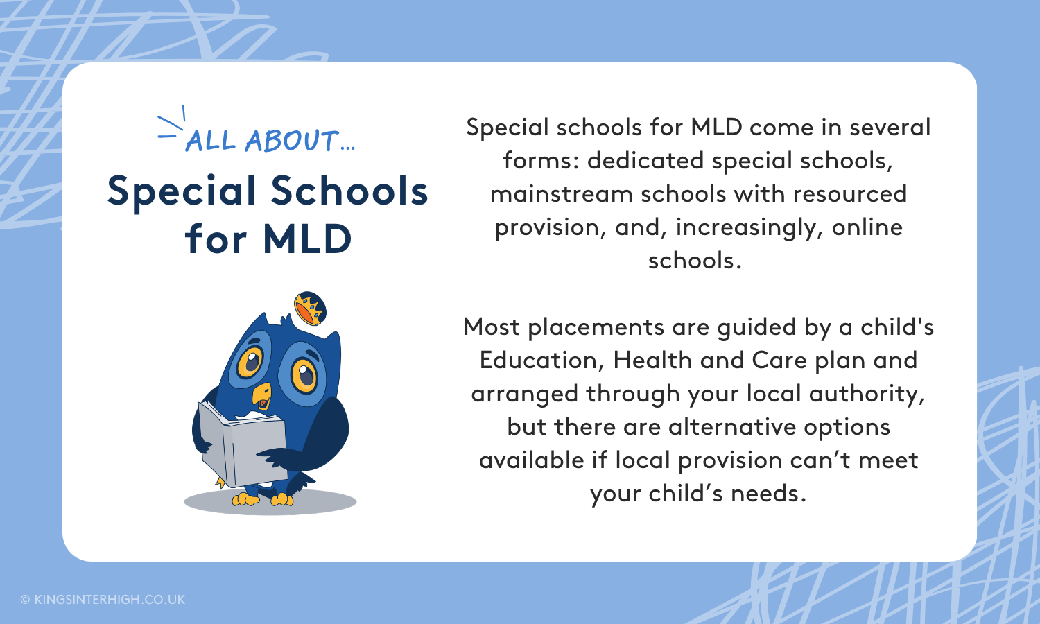 Infographic. Text reads: All about Special Schools for MLD - Special schools for MLD come in several forms: dedicated special schools, mainstream schools with resourced provision, and, increasingly, online schools. Most placements are guided by a child's Education, Health and Care plan and arranged through your local authority, but there are alternative options available if local provision can’t meet your child’s needs.